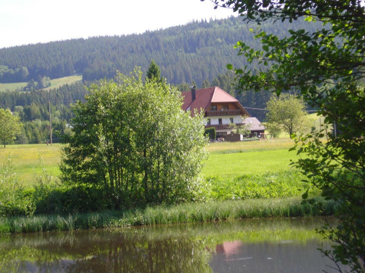 Ferienhaus Ehinger Breitnau Exterior foto
