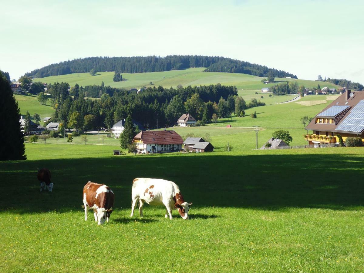 Ferienhaus Ehinger Breitnau Exterior foto