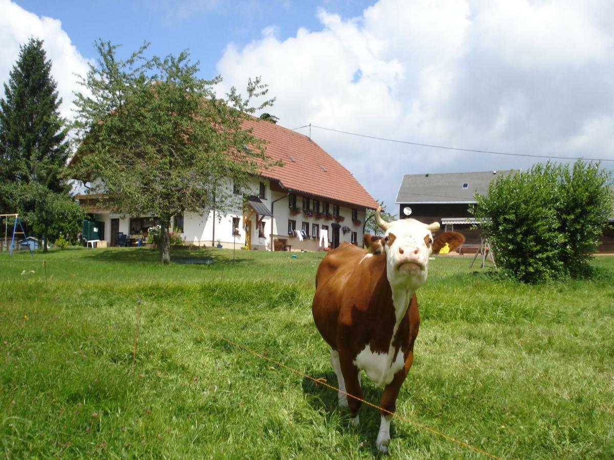 Ferienhaus Ehinger Breitnau Exterior foto