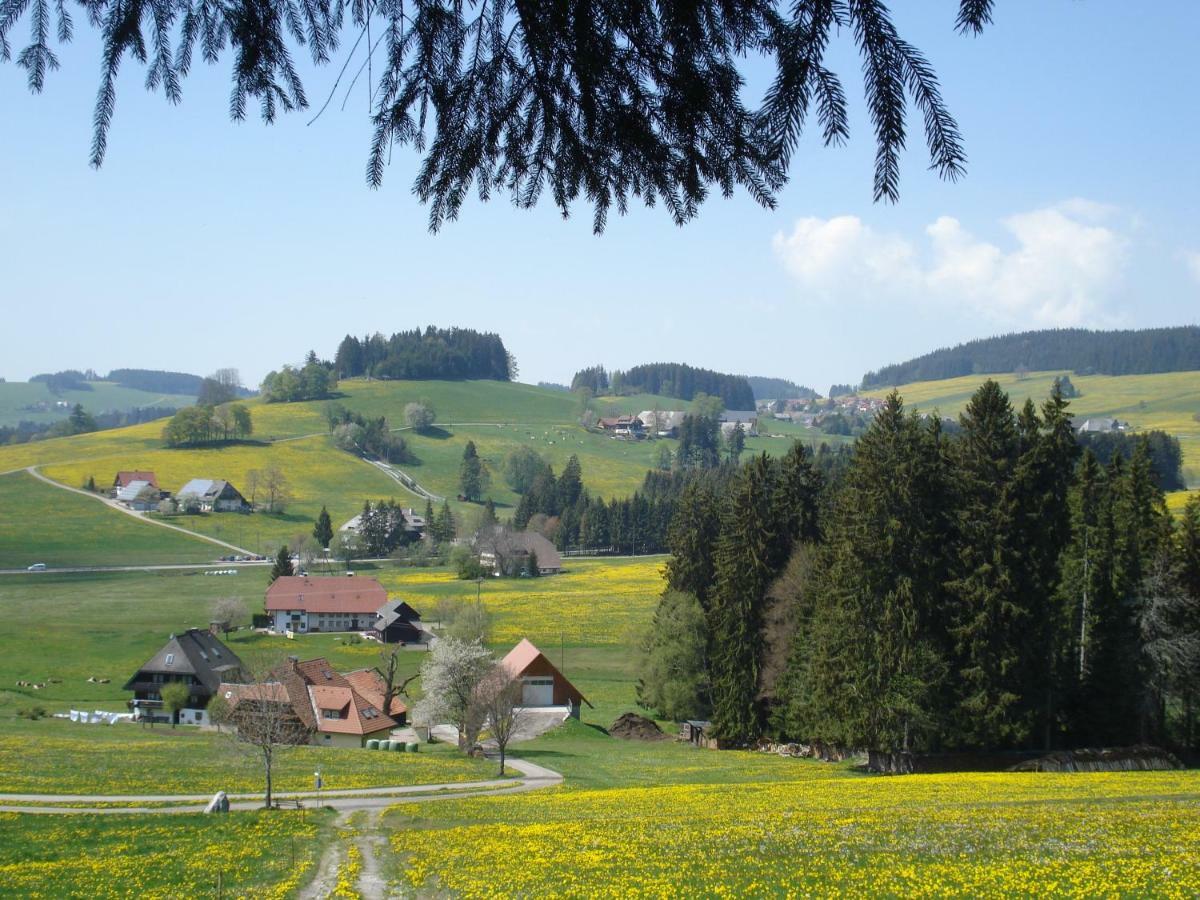 Ferienhaus Ehinger Breitnau Exterior foto