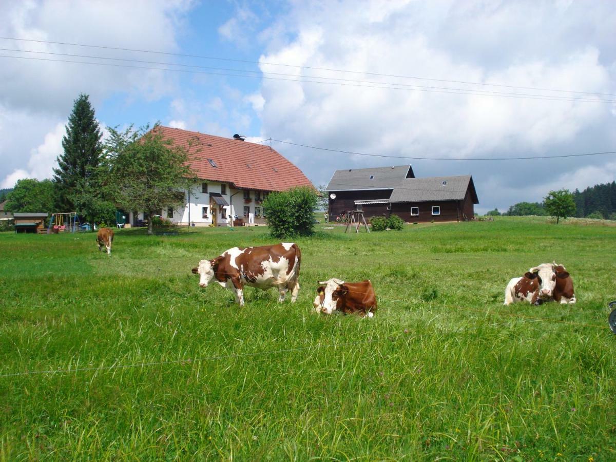 Ferienhaus Ehinger Breitnau Exterior foto