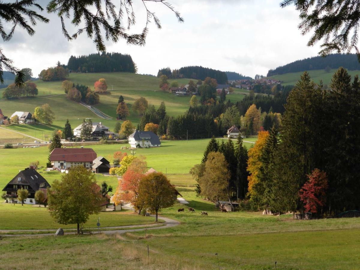 Ferienhaus Ehinger Breitnau Exterior foto