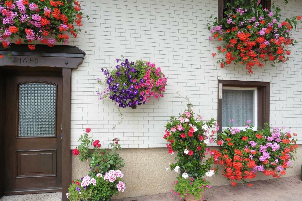 Ferienhaus Ehinger Breitnau Exterior foto